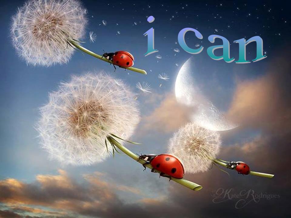 ican.jpg