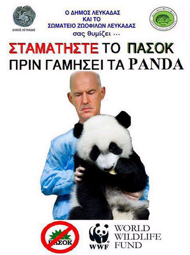 Panda.jpg
