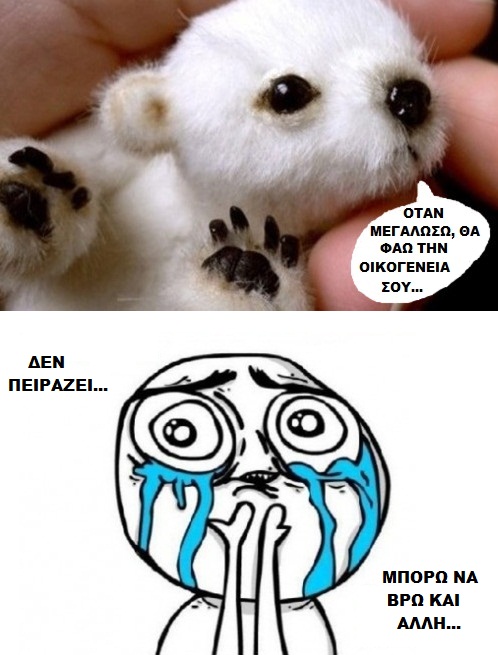polarbear.jpg