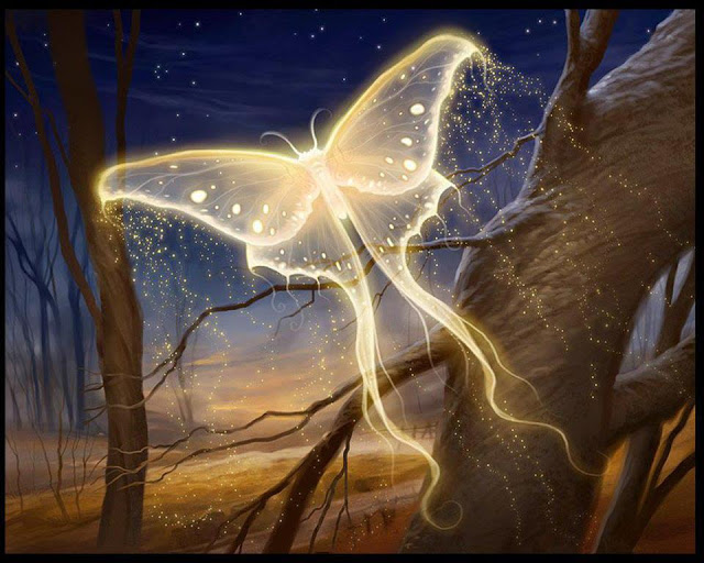 soul-butterfly.jpg