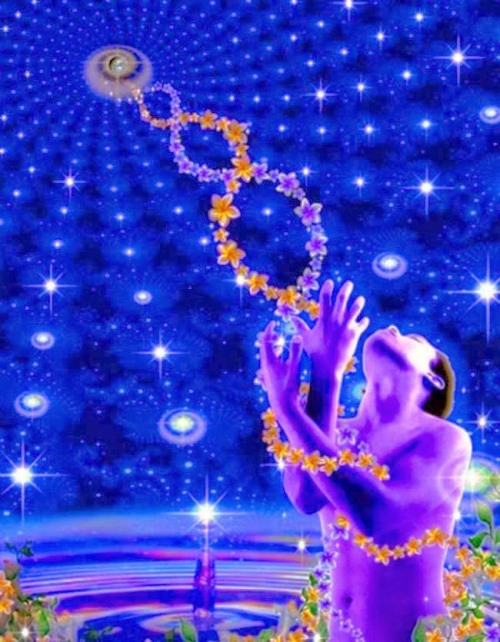 dna.jpg