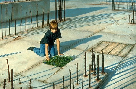 Michael_Whelan_Flowers.jpg