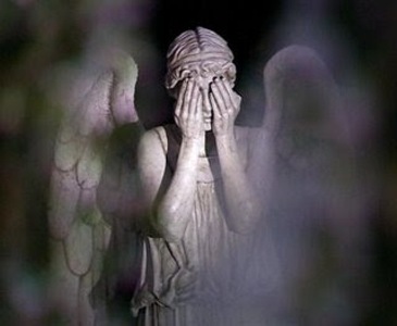 weeping_angel-forum.jpg