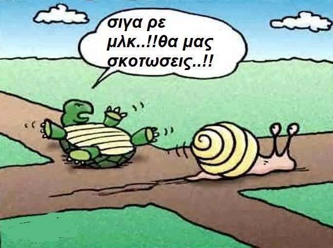 snails.jpg