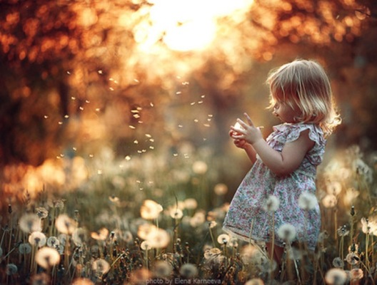 little-girl-and-dandelions-forum.jpg