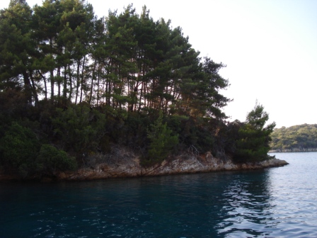 DSC04758.jpg